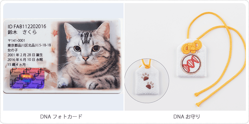 DNA