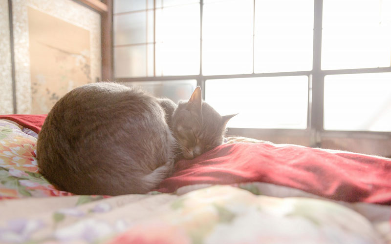 もしものとき