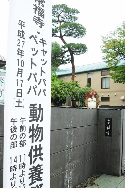 「春らしいお天気でした・・・」