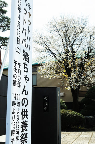 「猫ちゃんの供養祭エントランス」