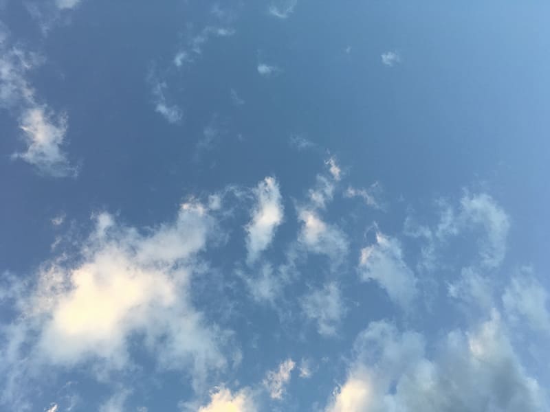 「秋晴れ」