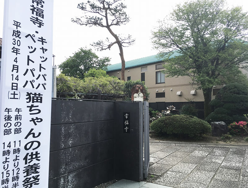 「猫ちゃんの供養祭エントランス」