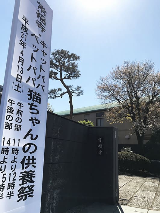 「猫ちゃんの供養祭エントランス」