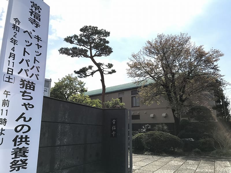 「猫ちゃんの供養祭エントランス」