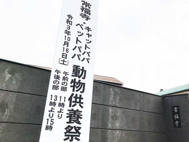 「猫ちゃんの供養祭エントランス」
