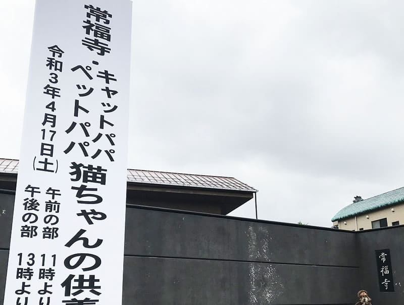 「猫ちゃんの供養祭エントランス」